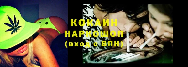 винт Абаза
