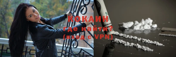 винт Абаза