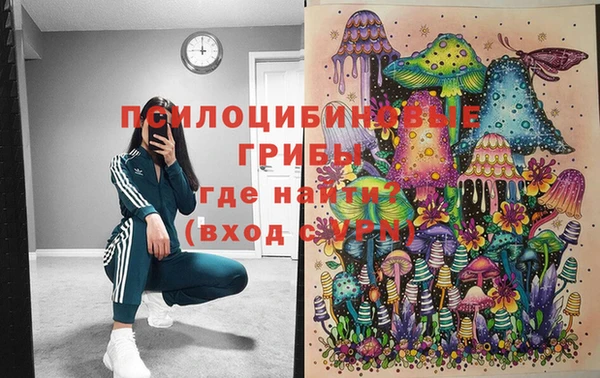 винт Абаза