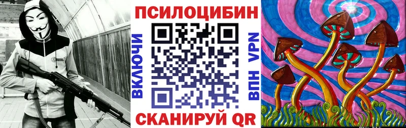 Псилоцибиновые грибы GOLDEN TEACHER  где купить наркотик  Великий Новгород 